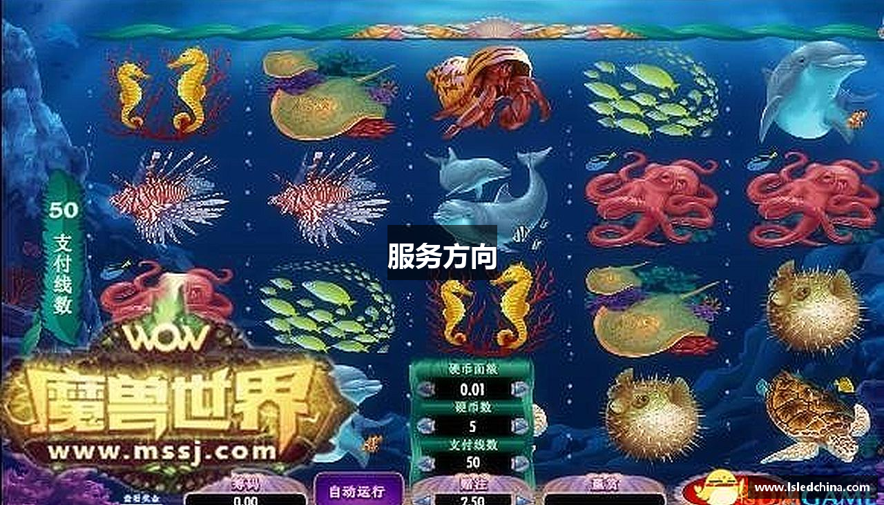 服务方向